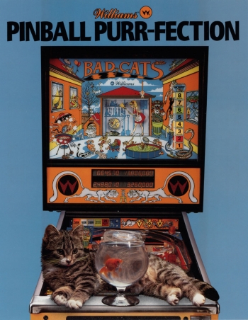 Bad Cats  Gioco