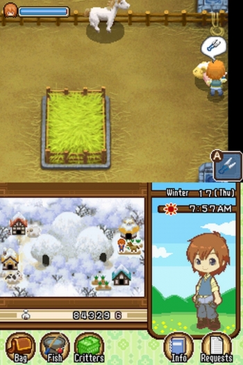 Harvest Moon DS - The Tale of Two Towns  Gioco