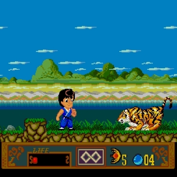 Jackie Chan's Action Kung Fu  Game
