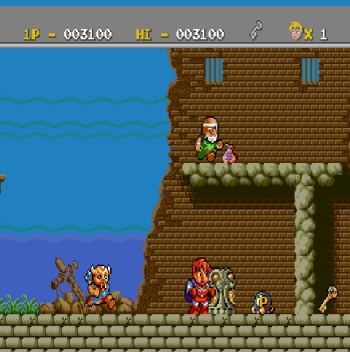 Legend of Hero Tonma  Spiel