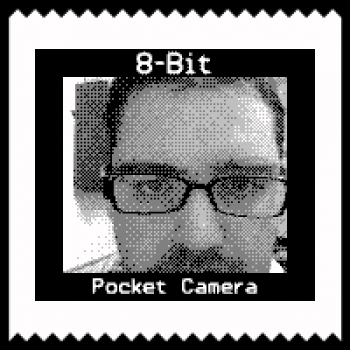 Pocket Camera   Juego