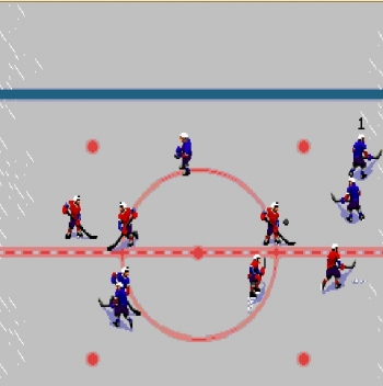 TV Sports Hockey  ゲーム