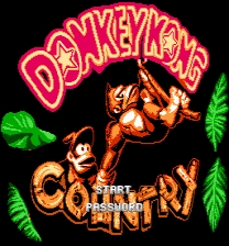 Donkey Kong Country Game