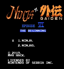 Ninja Gaiden VI - The Beginning Game