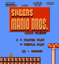 Skeens Super Mario Bros Game