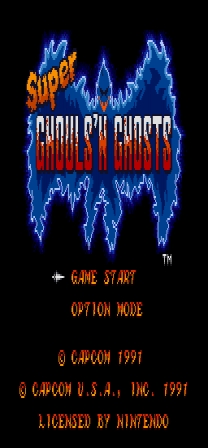 Super Ghouls N Ghosts - Super Arthur Game