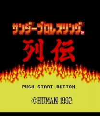 Thunder Pro Wrestling Retsuden Revamped ROM