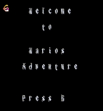 Wario's Adventure Game