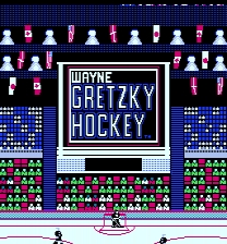 Wayne Gretzky Hockey: Colour Team Names Jogo
