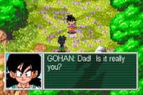 2 in 1 - Dragon Ball Z - The Legacy of Goku I & II  ROM