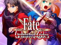 Fate Unlimited Codes ROM