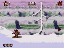 Aero the Acro-Bat 2  ROM