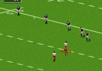 Australian Rugby League  ROM