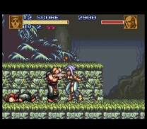 Battle Zeque Den  ROM