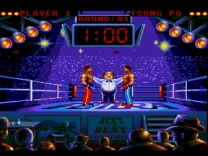 Best of the Best - Championship Karate  ROM