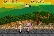 Bishoujo Senshi Lady Fighter v1.00  ROM