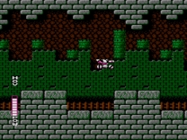 Blaster Master  ROM