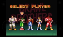 Brawl Brothers  ROM