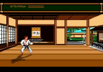 Budokan - The Martial Spirit  ROM