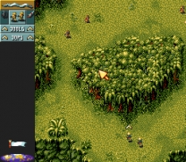 Cannon Fodder  ROM
