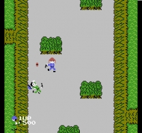 Chameleon 24 ROM