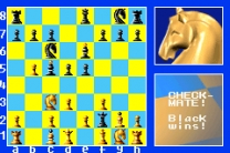 Chessmaster  ROM