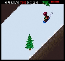 Cool Boarders PocketRom
