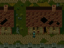 Dark Kingdom  ROM