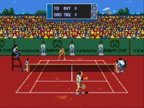 Davis Cup World Tour   ROM