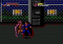 Death and Return of Superman, The  ROM