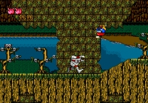 DecapAttack  ROM