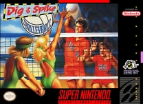 Dig & Spike Volleyball  ROM