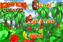 Donkey Kong 2K3 Pic (PD) ROM