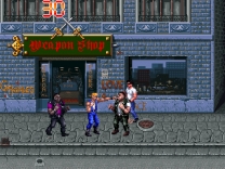 Double Dragon 3 - The Rosetta Stone  ROM