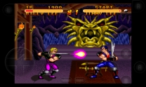 Double Dragon V - The Shadow Falls  ROM