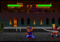 Double Dragon V - The Shadow Falls  ROM