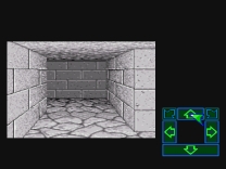 Dungeon Master  ROM