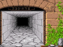 Dungeon Master  ROM