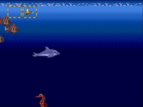 Ecco Jr.   ROM