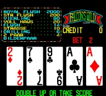 Falcons Wild - Wild Card 1991  ROM