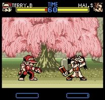 Fatal Fury F-Contact ROM