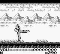 Fighting Simulator 2 in 1  ROM