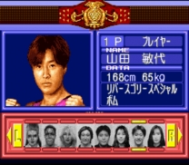 Fire Pro Joshi All Star Dream Slam  ROM