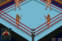 Fire Pro Wrestling 2  ROM