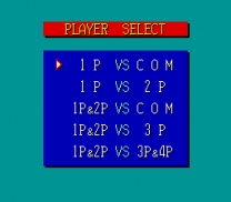 Fire Pro Wrestling - Combination Tag  ROM