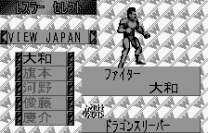 Fire Pro Wrestling  [M]Rom