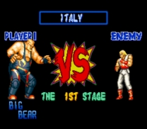 Garou Densetsu Special  ROM