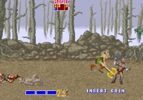 Golden Axe   ROM