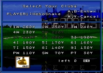 HAL's Hole in One Golf  ROM