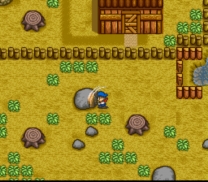 Harvest Moon  ROM